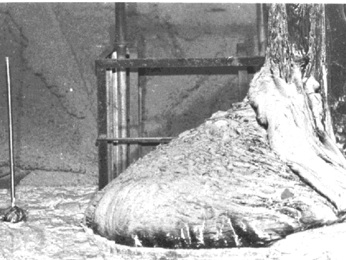 The image is of a reactor core lava formation in the basement of the Chernobyl nuclear plant. It’s called the Elephant’s Foot and weighs hundreds of tons, but is only a couple meters across.