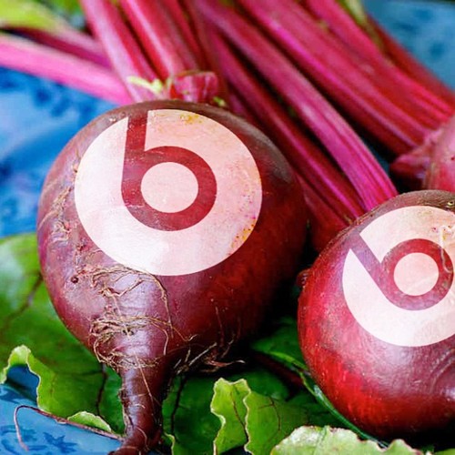 Beets by Dre | Duck Duck Gray Duck