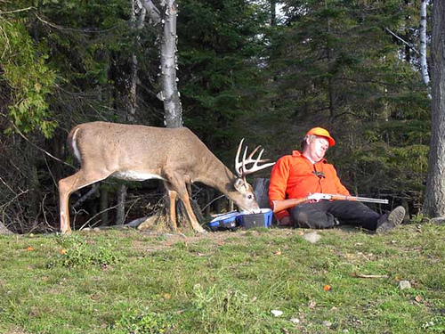 deer-hunting-1.jpg