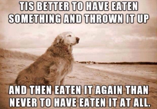 When a dog eats and throws up.