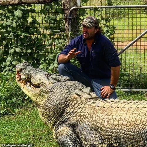 massive croc